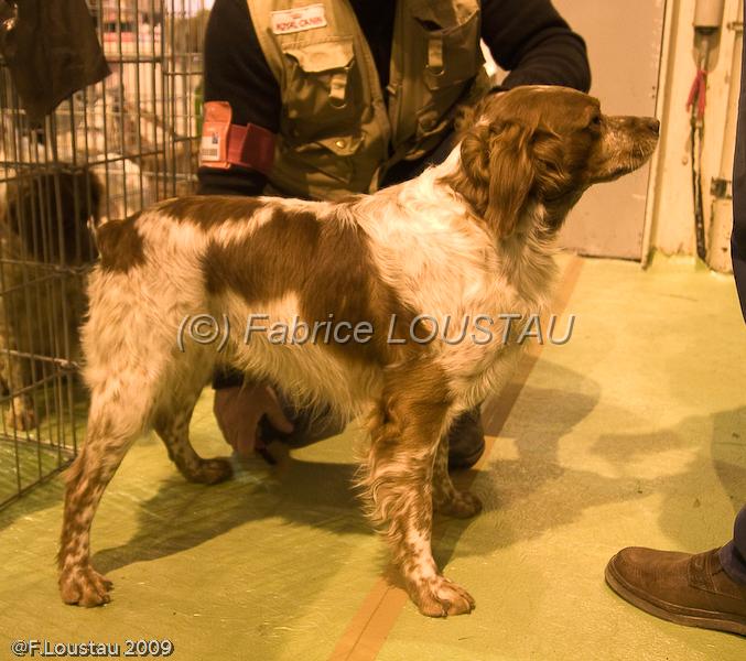 20090223-FLS_4208.jpg - salon agriculture 2009