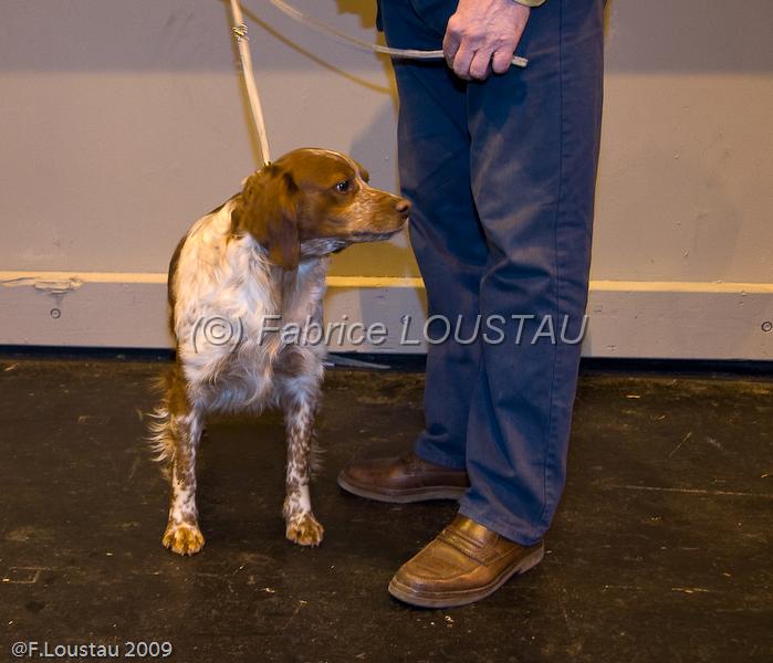 20090223-FLS_4216.jpg - salon agriculture 2009