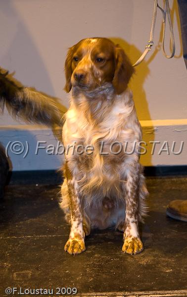 20090223-FLS_4221.jpg - salon agriculture 2009