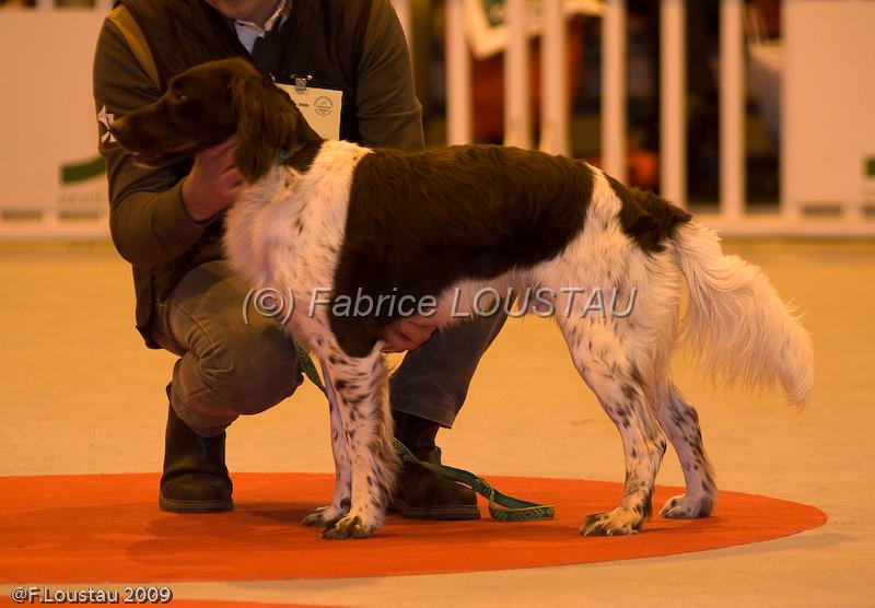 20090223-FLS_4280.jpg - salon agriculture 2009