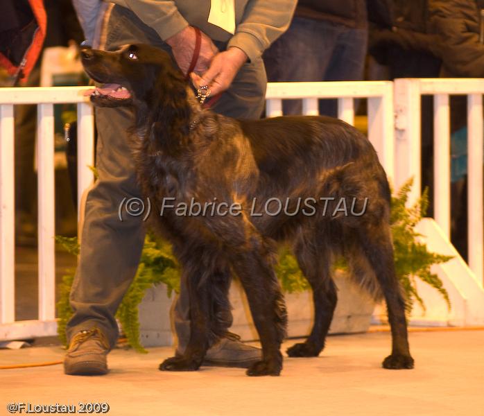 20090223-FLS_4289.jpg - salon agriculture 2009