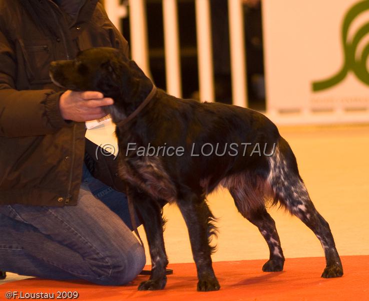 20090223-FLS_4304.jpg - salon agriculture 2009