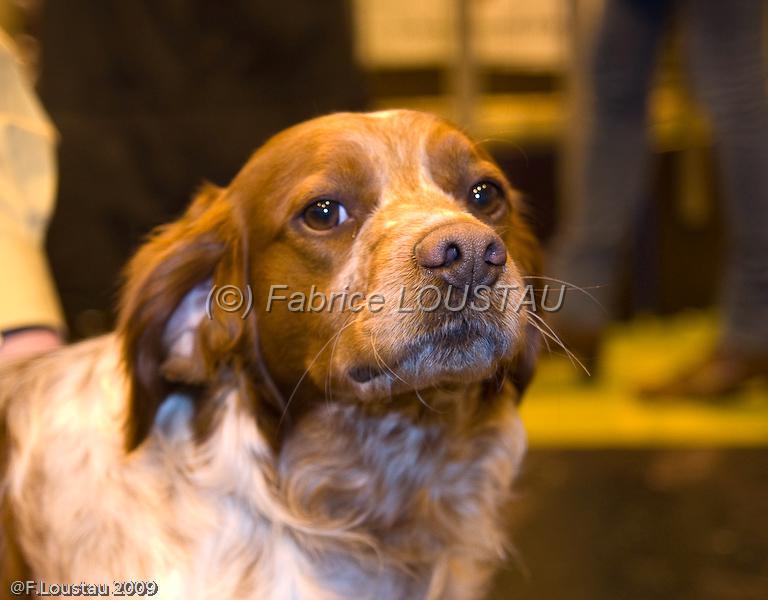 20090223-FLS_4456.jpg - salon agriculture 2009