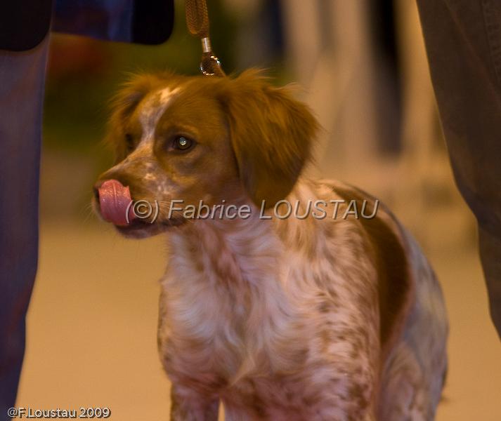 20090223-FLS_4540.jpg - salon agriculture 2009