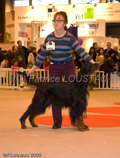 20090223-FLS_4662.jpg - salon agriculture 2009