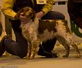 20090223-FLS_4236