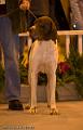20090223-FLS_4267