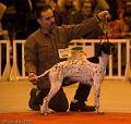 20090223-FLS_4332