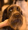 20090223-FLS_4412