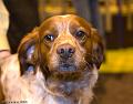 20090223-FLS_4457
