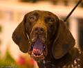 20090223-FLS_4521