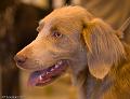 20090223-FLS_4522