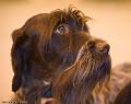 20090223-FLS_4566