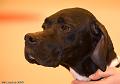 20090223-FLS_4578