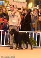 20090223-FLS_4749