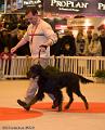 20090223-FLS_4783