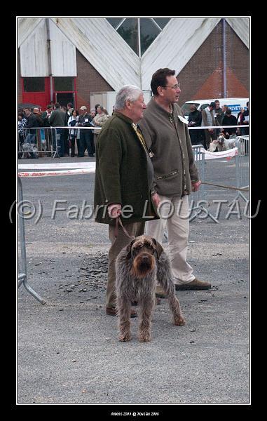 FLS_8462-2.jpg