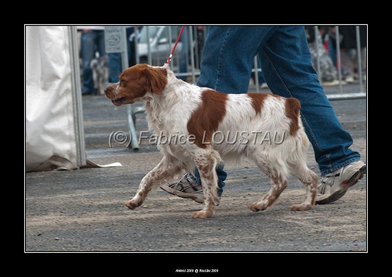 FLS_8470-2.jpg