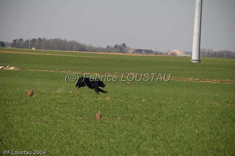 20090319-FLS_5108.jpg