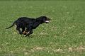 20090320-FLS_5327