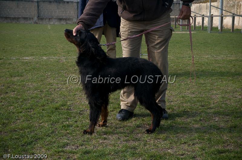 20090322-FLS_5848.jpg - salon agriculture 2009