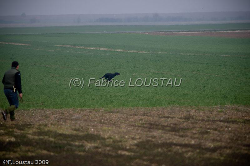 20090322-FLS_5896.jpg - salon agriculture 2009