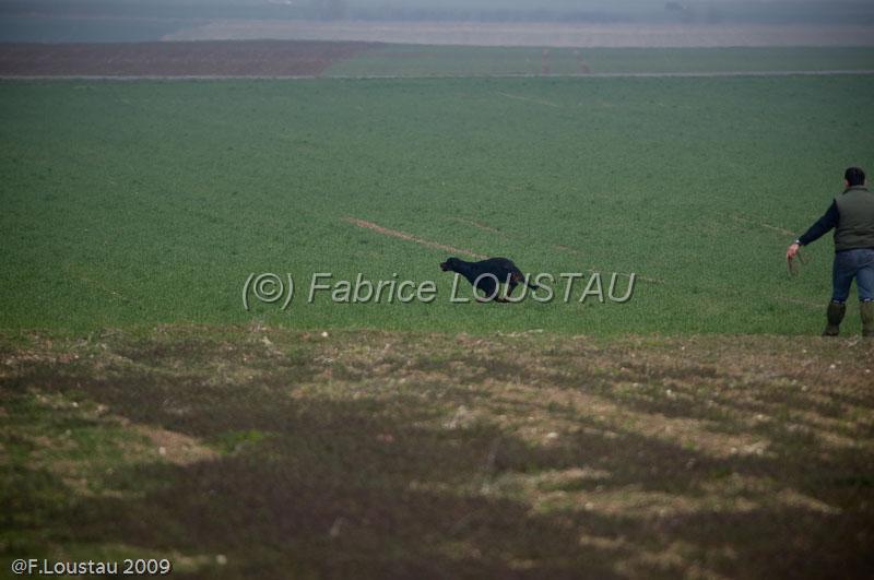20090322-FLS_5905.jpg - salon agriculture 2009