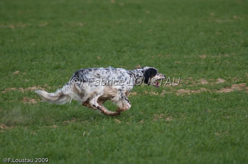 20090324-FLS_6086.jpg - thivars 2009