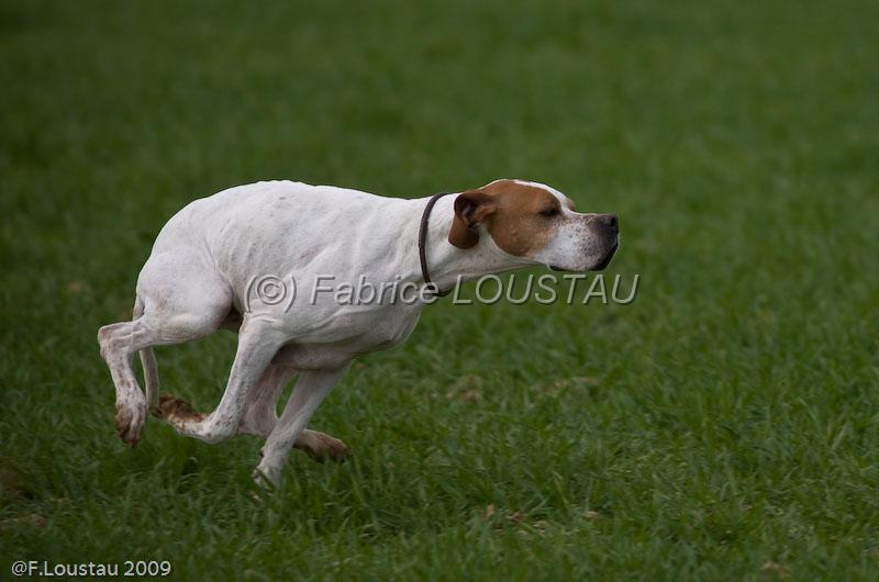 20090324-FLS_6112.jpg - thivars 2009