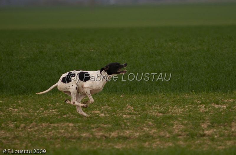 20090324-FLS_6134.jpg - thivars 2009