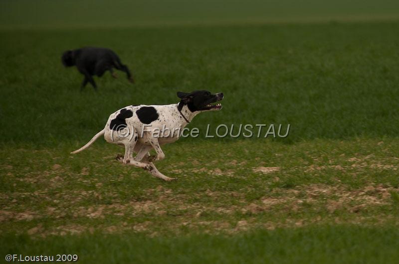 20090324-FLS_6135.jpg - thivars 2009