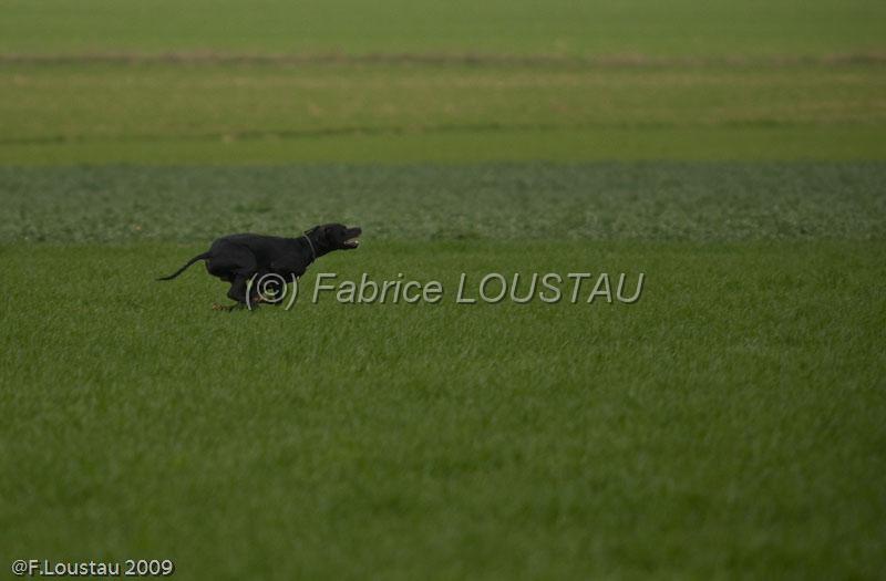 20090324-FLS_6153.jpg - thivars 2009