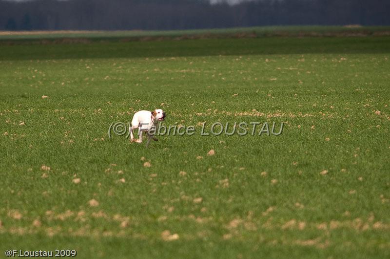 20090324-FLS_6208.jpg - thivars 2009