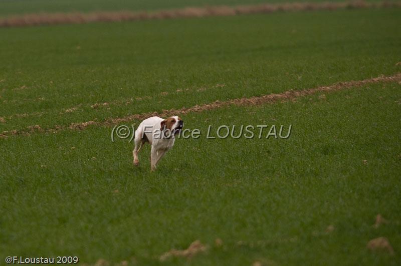 20090324-FLS_6257.jpg - thivars 2009