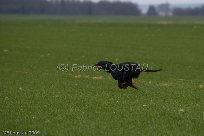 20090324-FLS_6270.jpg - thivars 2009