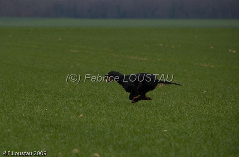 20090324-FLS_6273.jpg - thivars 2009