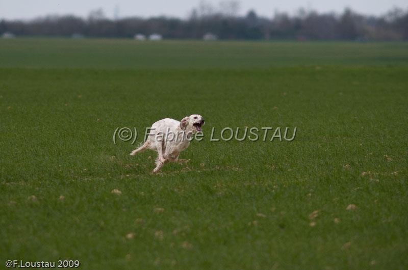 20090324-FLS_6298.jpg - thivars 2009