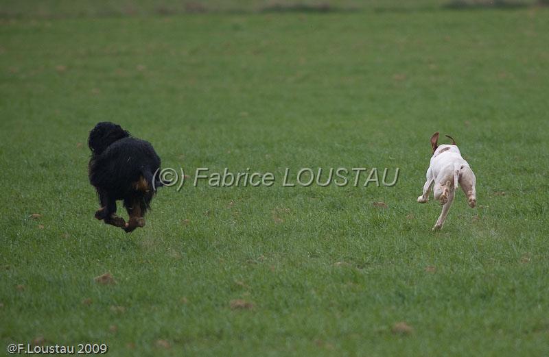 20090324-FLS_6333.jpg - thivars 2009