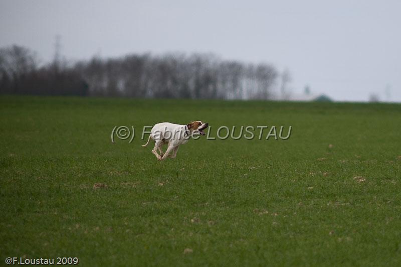 20090324-FLS_6363.jpg - thivars 2009