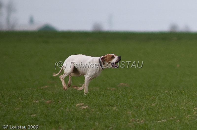 20090324-FLS_6365.jpg - thivars 2009
