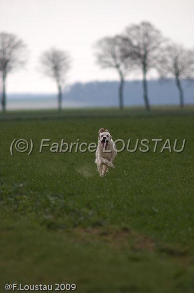 20090324-FLS_6430.jpg - thivars 2009