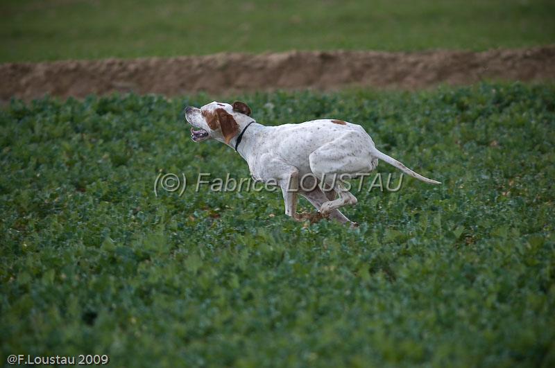 20090324-FLS_6459.jpg - thivars 2009