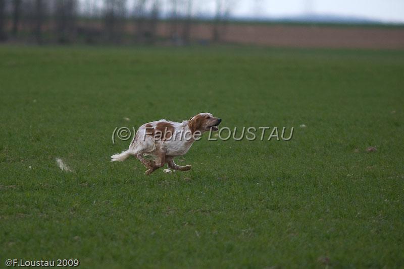 20090324-FLS_6477.jpg - thivars 2009
