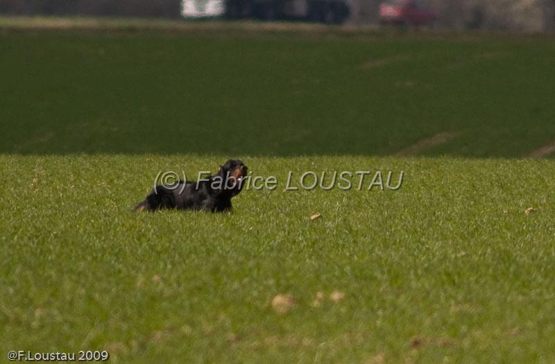20090324-FLS_6505.jpg - thivars 2009