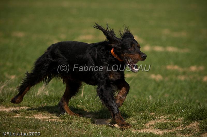 20090324-FLS_6569.jpg - thivars 2009