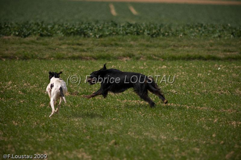 20090324-FLS_6630.jpg - thivars 2009