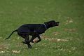 20090324-FLS_6177