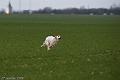 20090324-FLS_6296