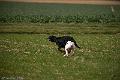 20090324-FLS_6631