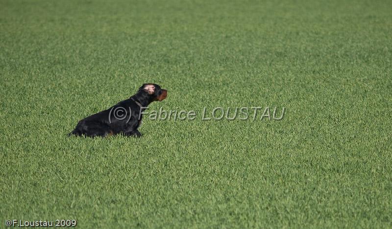 20090330-FLS_6661.jpg - salon agriculture 2009